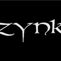 zynk Ludvika